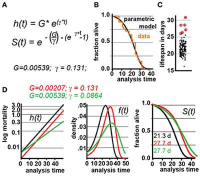 Computational Analysis of Lifespan Experiment Reproducibility